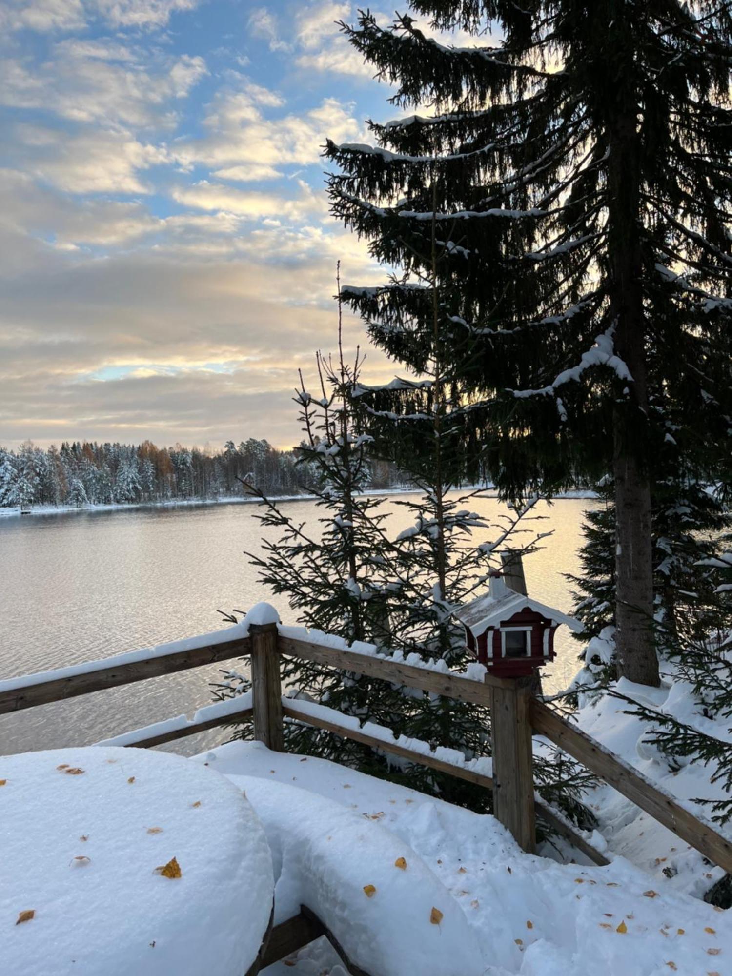 Nya Skogsgarden Hostel Mårbacken 외부 사진