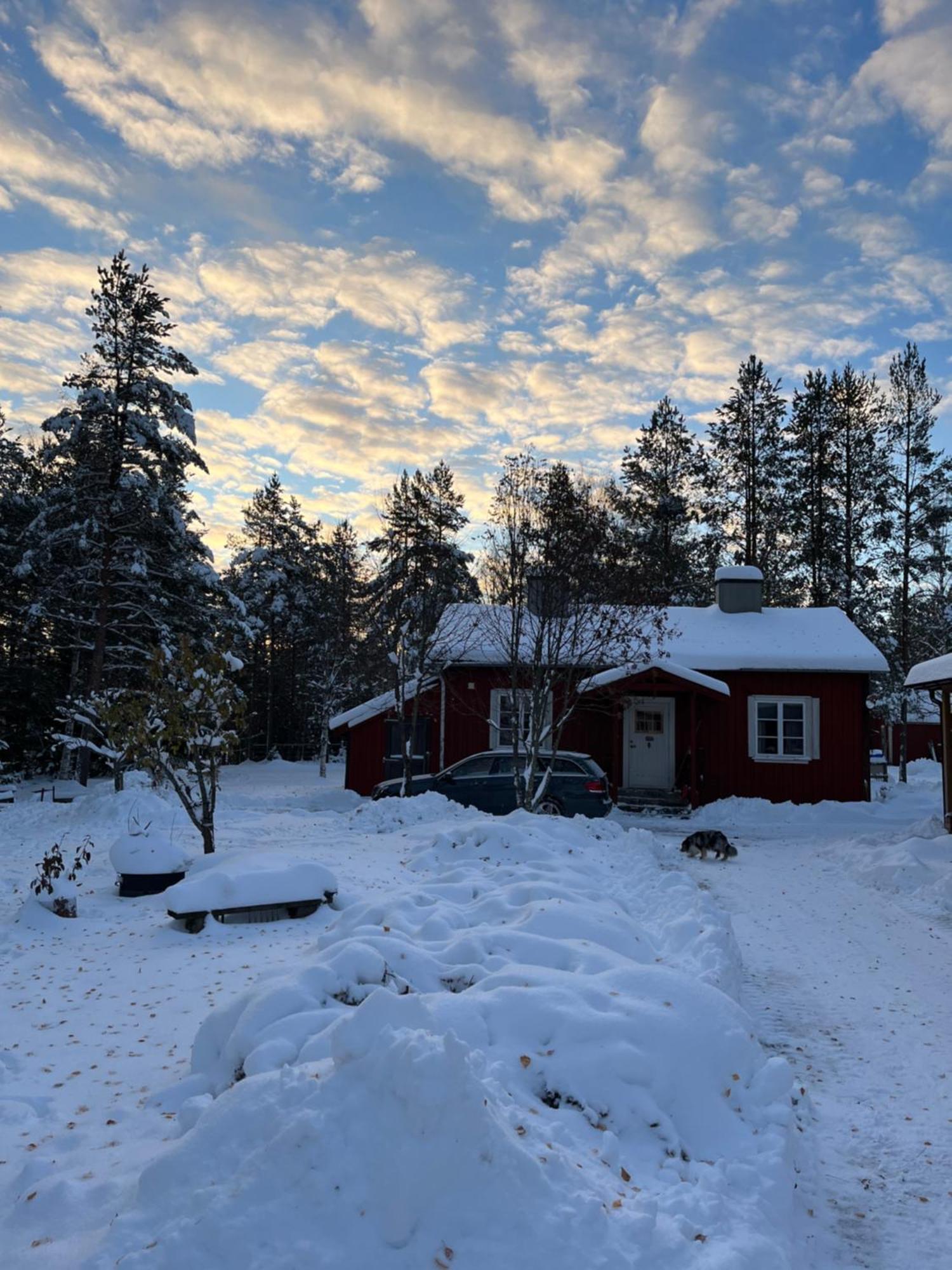 Nya Skogsgarden Hostel Mårbacken 외부 사진