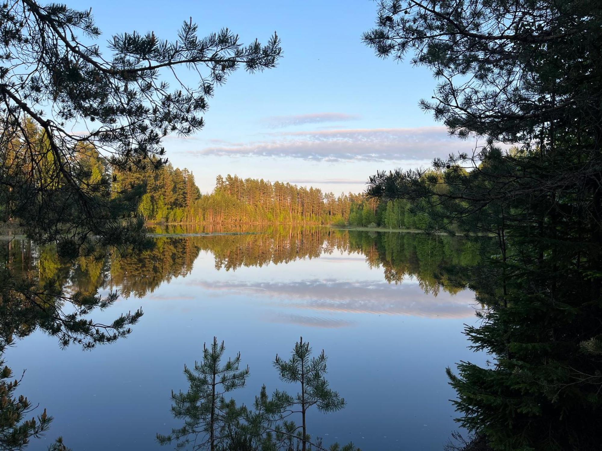 Nya Skogsgarden Hostel Mårbacken 외부 사진