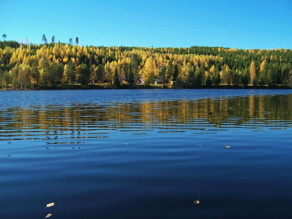 Nya Skogsgarden Hostel Mårbacken 외부 사진