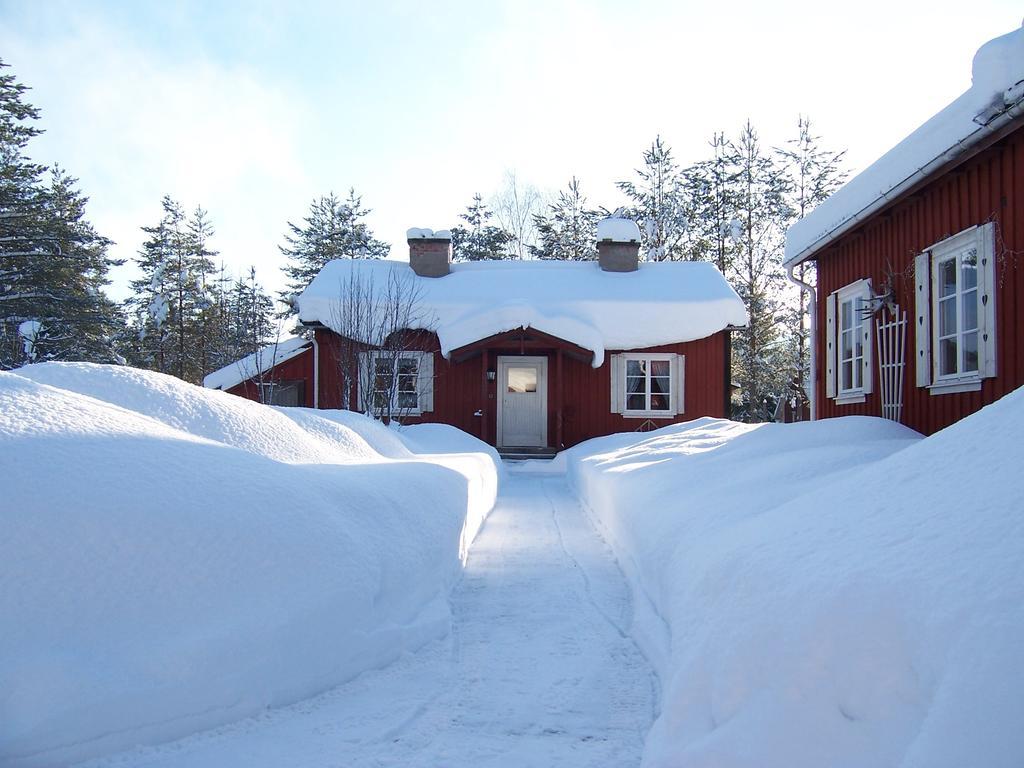 Nya Skogsgarden Hostel Mårbacken 외부 사진